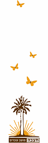 לוגו חצבה - עם פרפרים